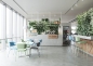 Preview: Design Stuhl Tibro